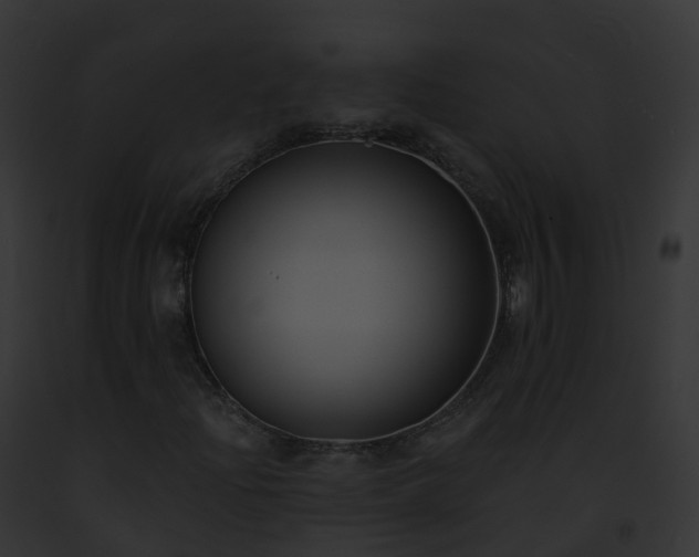 X0000093091204200710031431