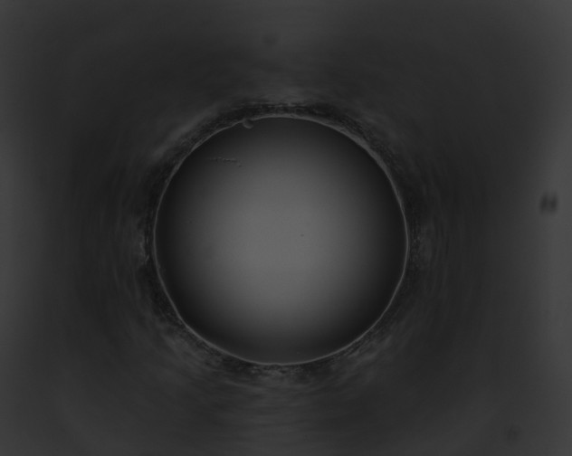 X0000093091205200710031431