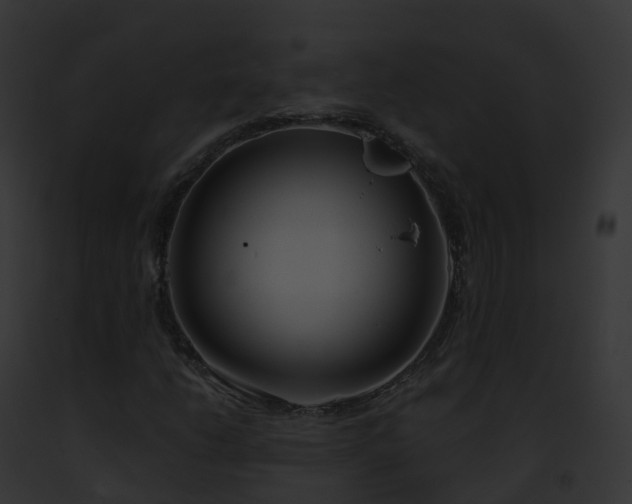 X0000093091206200710031431