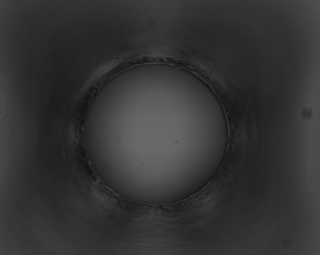 X0000093091207200710031431