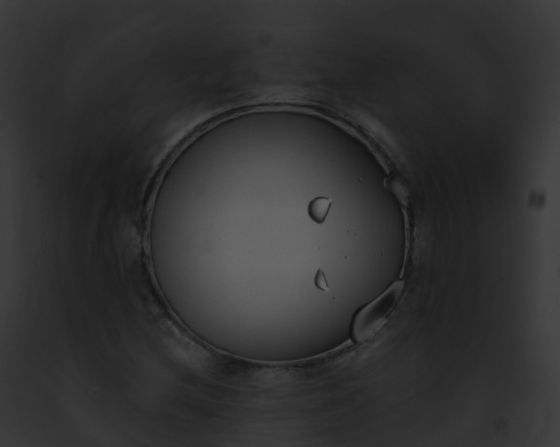 X0000093091212200710031431
