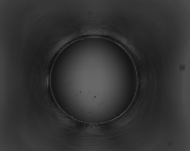 X0000093091221200710031432