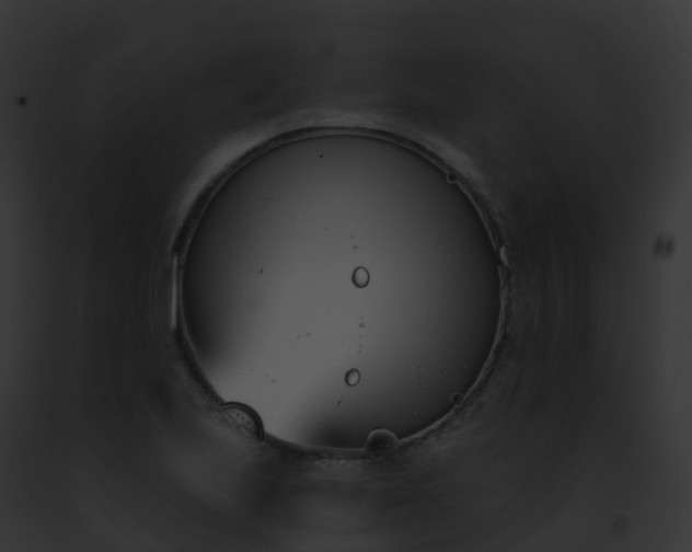X0000093091223200710031432