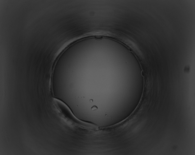 X0000093091228200710031432