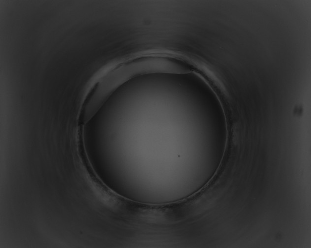 X0000093091229200710031432