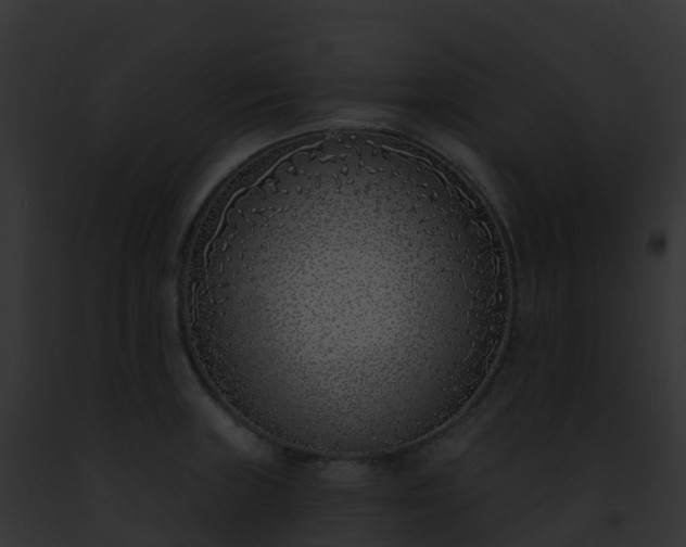 X0000093091235200710031432