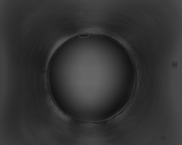 X0000093091248200710031432
