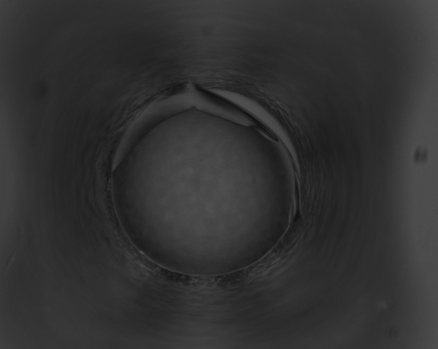 X0000093091249200710031431