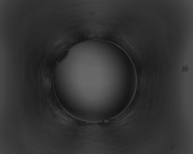 X0000093091250200710031431