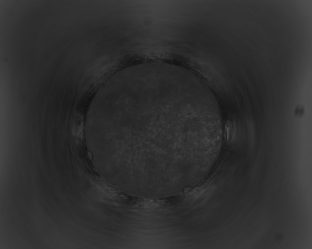 X0000093091251200710031431