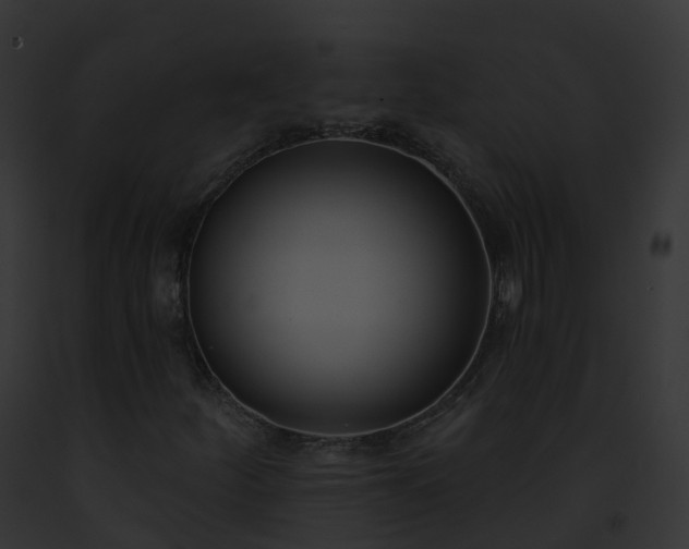 X0000093091252200710031431