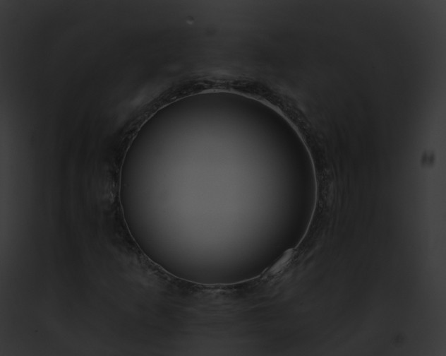 X0000093091253200710031431