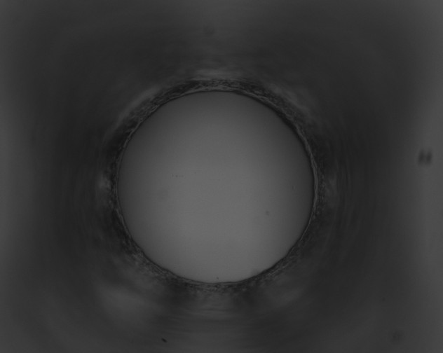 X0000093091254200710031431