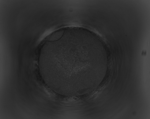 X0000093091255200710031431