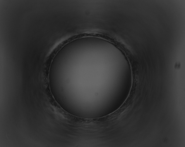 X0000093091256200710031431
