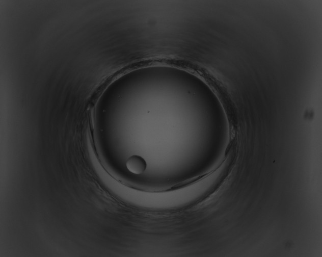 X0000093091257200710031431