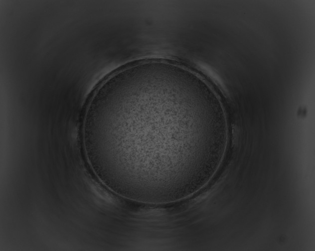 X0000093091260200710031431