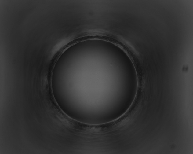 X0000093091261200710031431