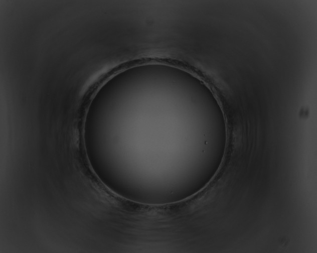 X0000093091262200710031431