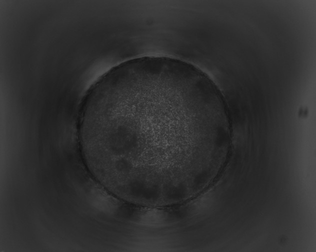 X0000093091263200710031431