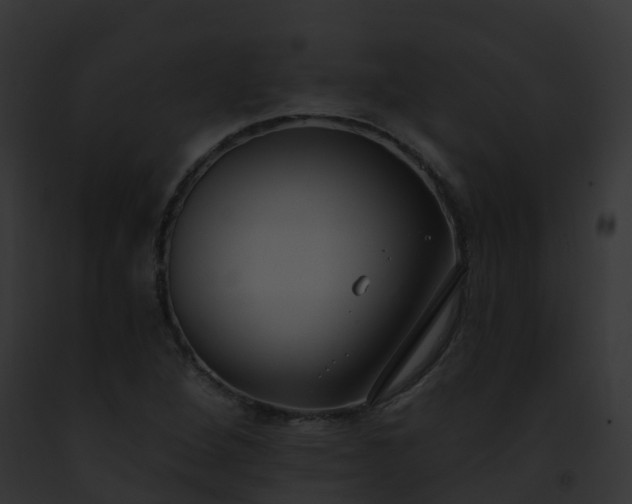 X0000093091264200710031431