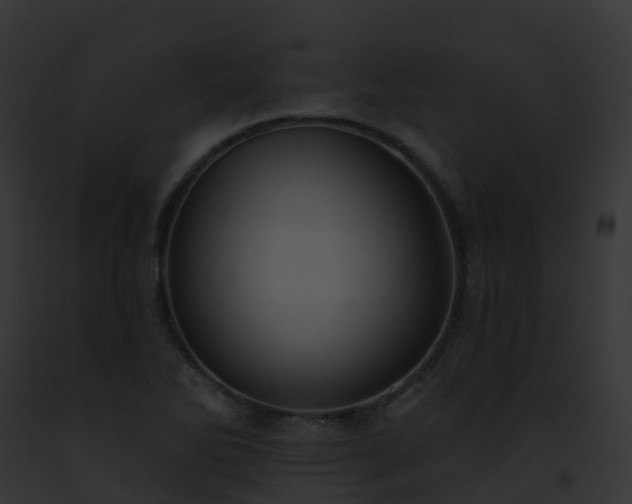 X0000093091270200710031431