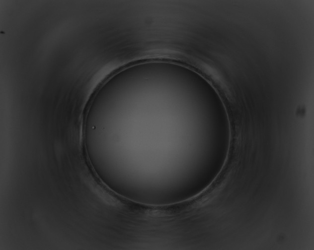 X0000093091275200710031431