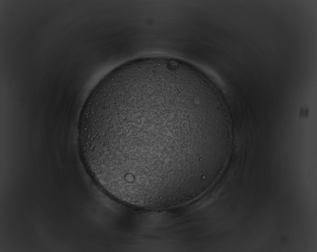 X0000093091279200710031431
