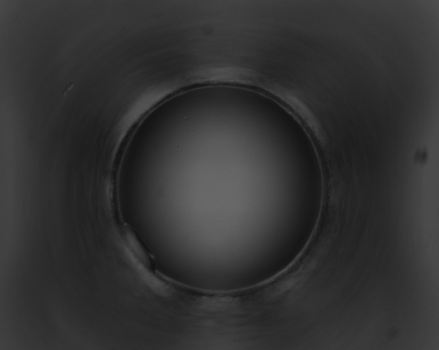X0000093091285200710031431
