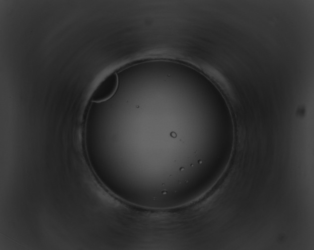 X0000093091288200710031431