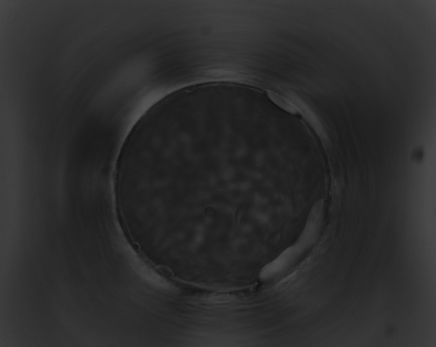 X0000093091291200710031431