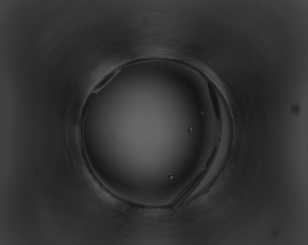 X0000093091293200710031431