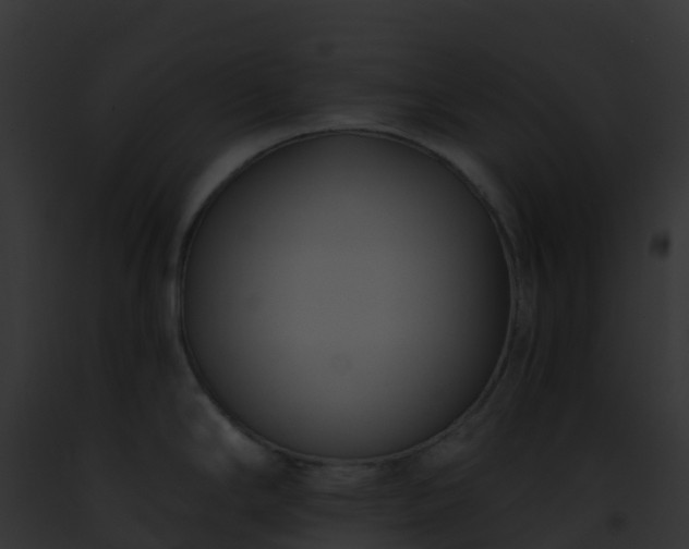 X0000093091294200710031431