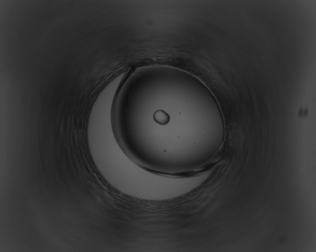 X0000093091298200710031430