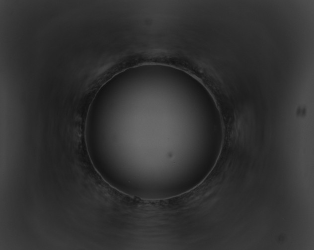 X0000093091301200710031430