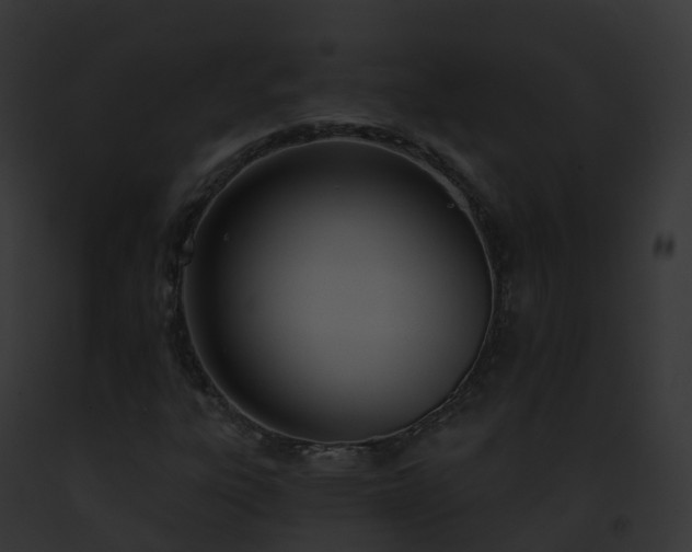 X0000093091303200710031430