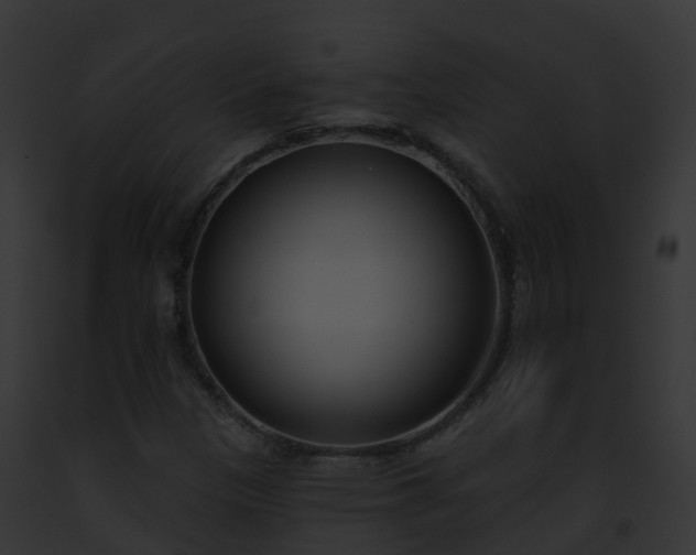X0000093091305200710031430