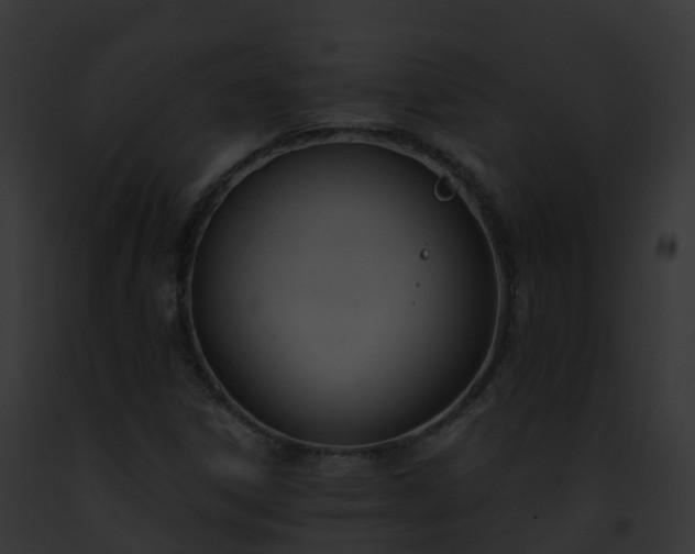 X0000093091306200710031430