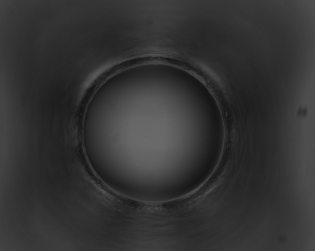 X0000093091310200710031430