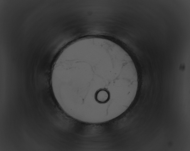 X0000093091314200710031430