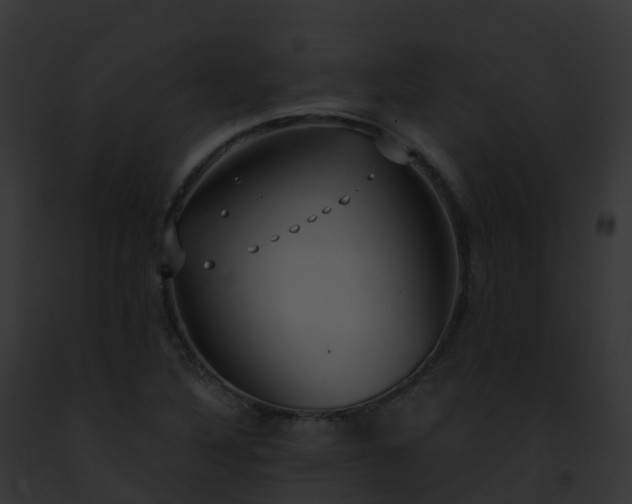 X0000093091316200710031430