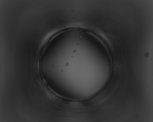 X0000093091320200710031430
