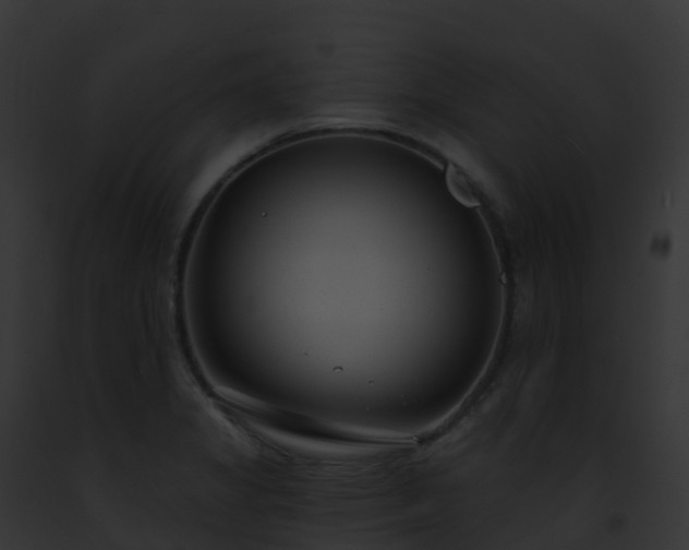 X0000093091325200710031430