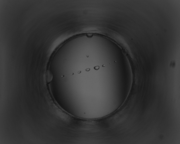 X0000093091328200710031430