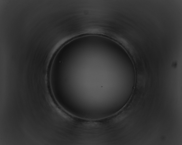 X0000093091331200710031430