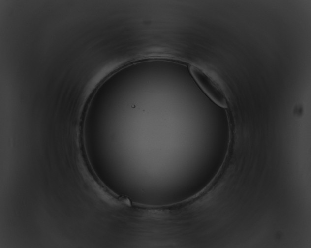 X0000093091333200710031430