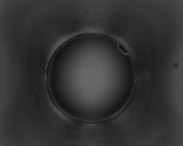 X0000093091335200710031430