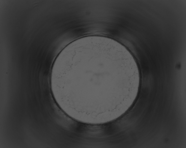 X0000093091338200710031430