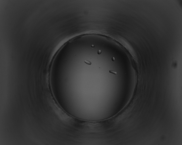 X0000093091340200710031430