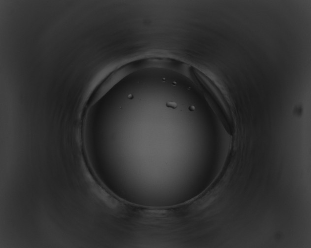 X0000093091342200710031430
